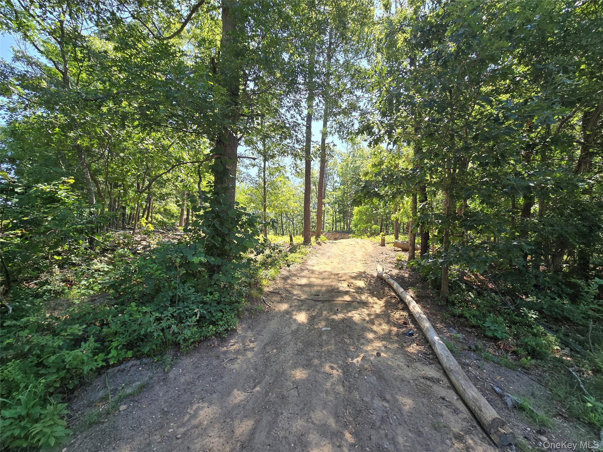 Manor Yaphank Road Manorville, NY 11949 - Photo 8 of 8 Gallery Image 8