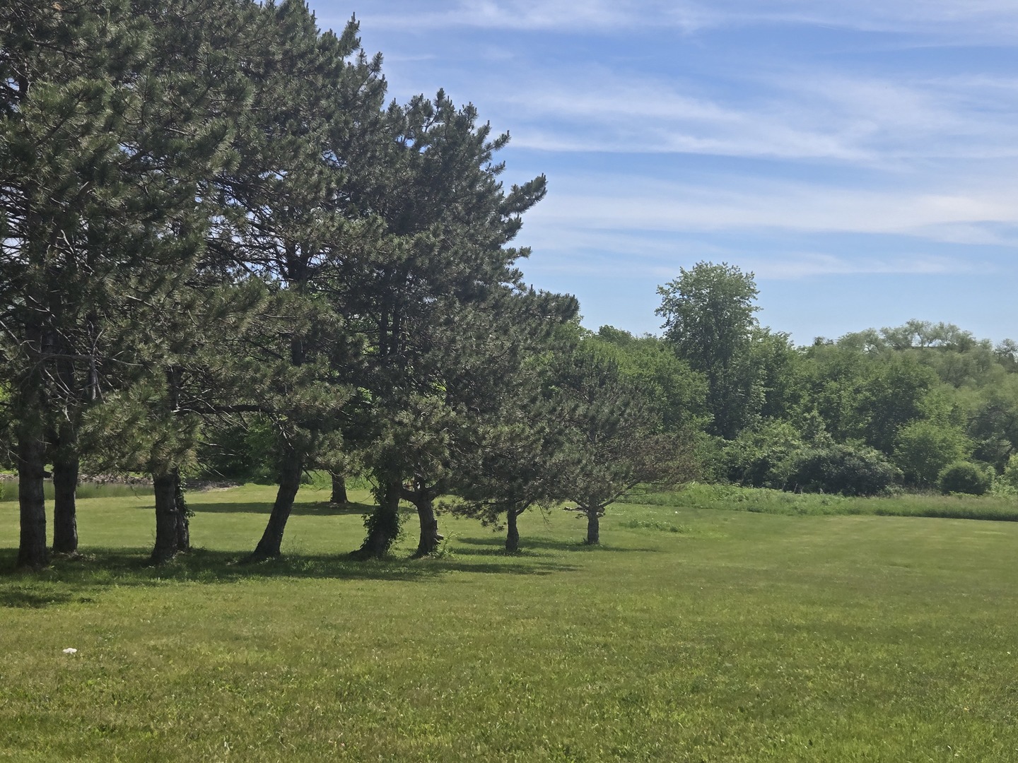 17823 Haas Road Mokena, IL 60448 - Photo 7 of 8