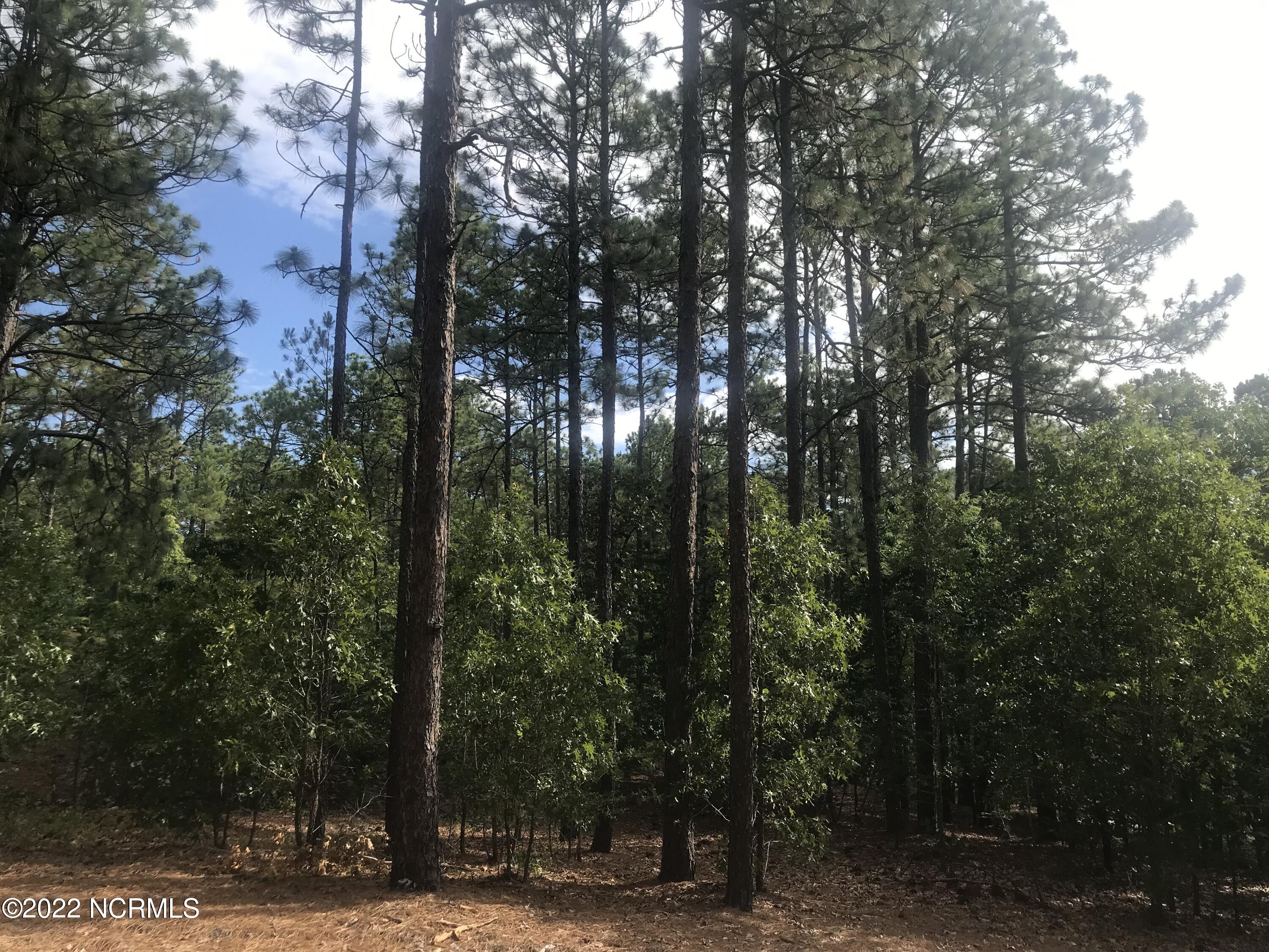 128 Vanore Road West End, NC 27376 - Photo 2 of 7 IMG_3255