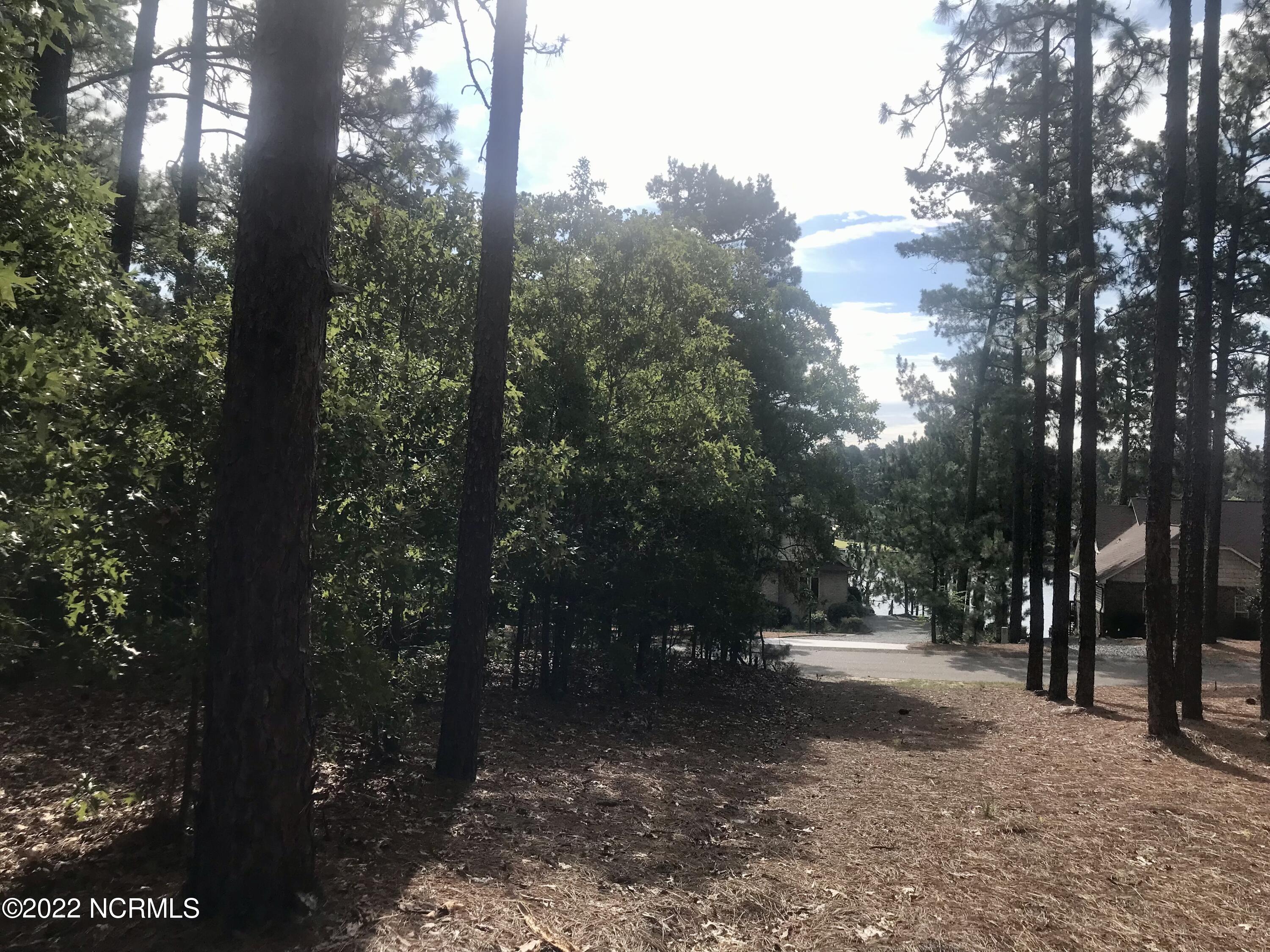 128 Vanore Road West End, NC 27376 - Photo 4 of 7 IMG_3249