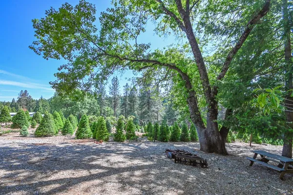 a view of a large yard with an outdoor and seating area