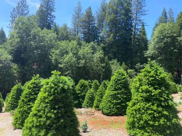 a living room with furniture fireplace and a large window