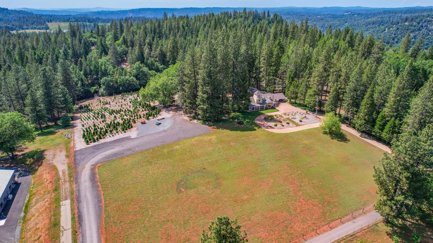 2640 Sky Ranch Lane Camino, CA 95709 - Photo 13 of 62 a view of a large yard with an outdoor and seating area