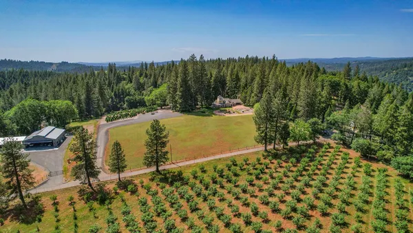 a view of a swimming pool with a garden