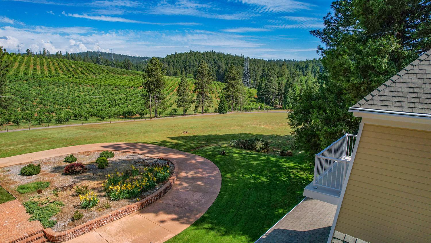 2640 Sky Ranch Lane Camino, CA 95709 - Photo 3 of 62 a view of a backyard with plants