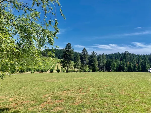 a backyard of a house with lots of green space