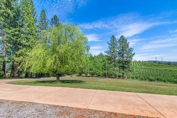a view of a swimming pool with a yard