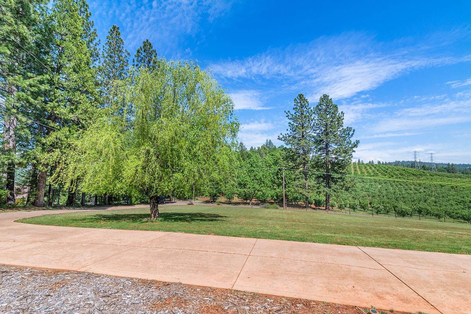 2640 Sky Ranch Lane Camino, CA 95709 - Photo 50 of 62 a view of a golf course