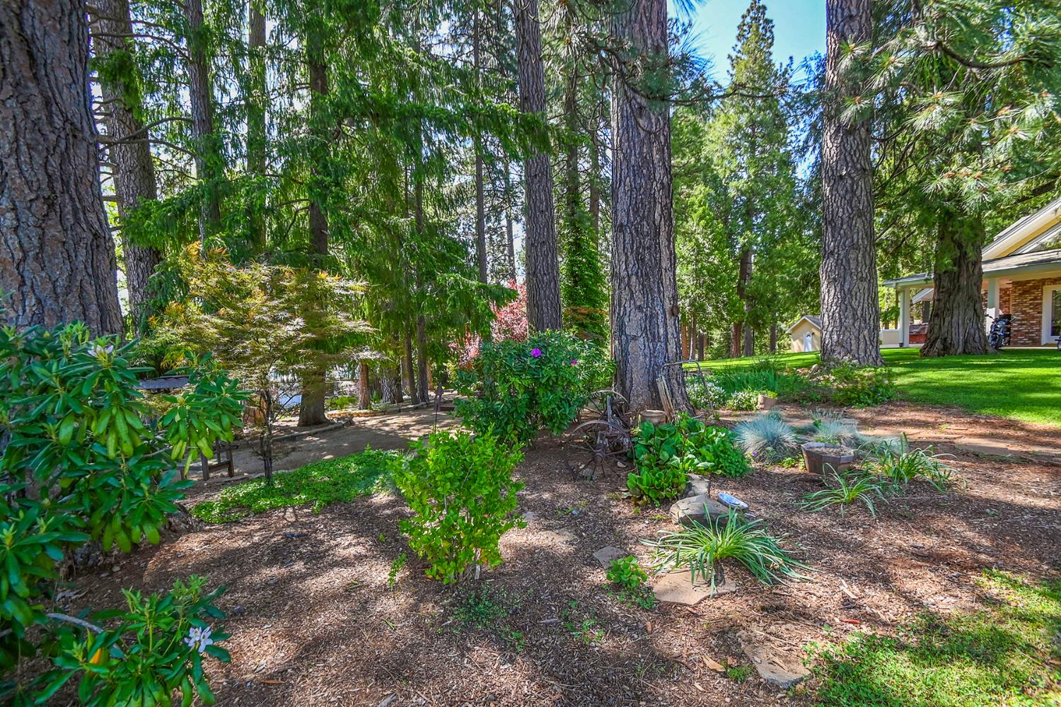 2640 Sky Ranch Lane Camino, CA 95709 - Photo 51 of 62 a backyard of a house with lots of green space