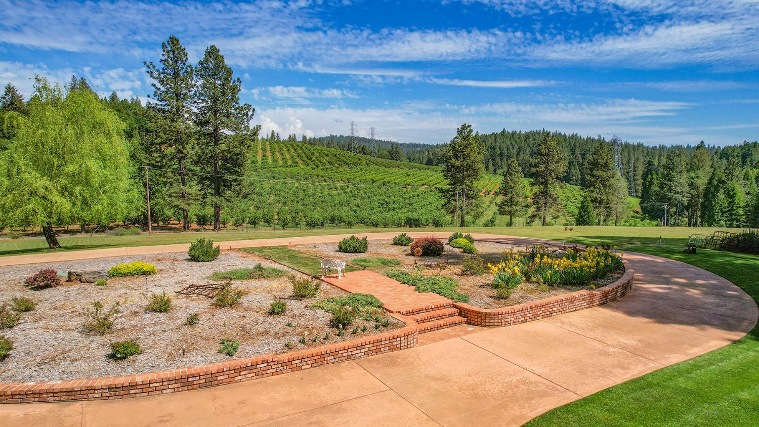 2640 Sky Ranch Lane Camino, CA 95709 - Photo 62 of 62 a view of a swimming pool with a yard