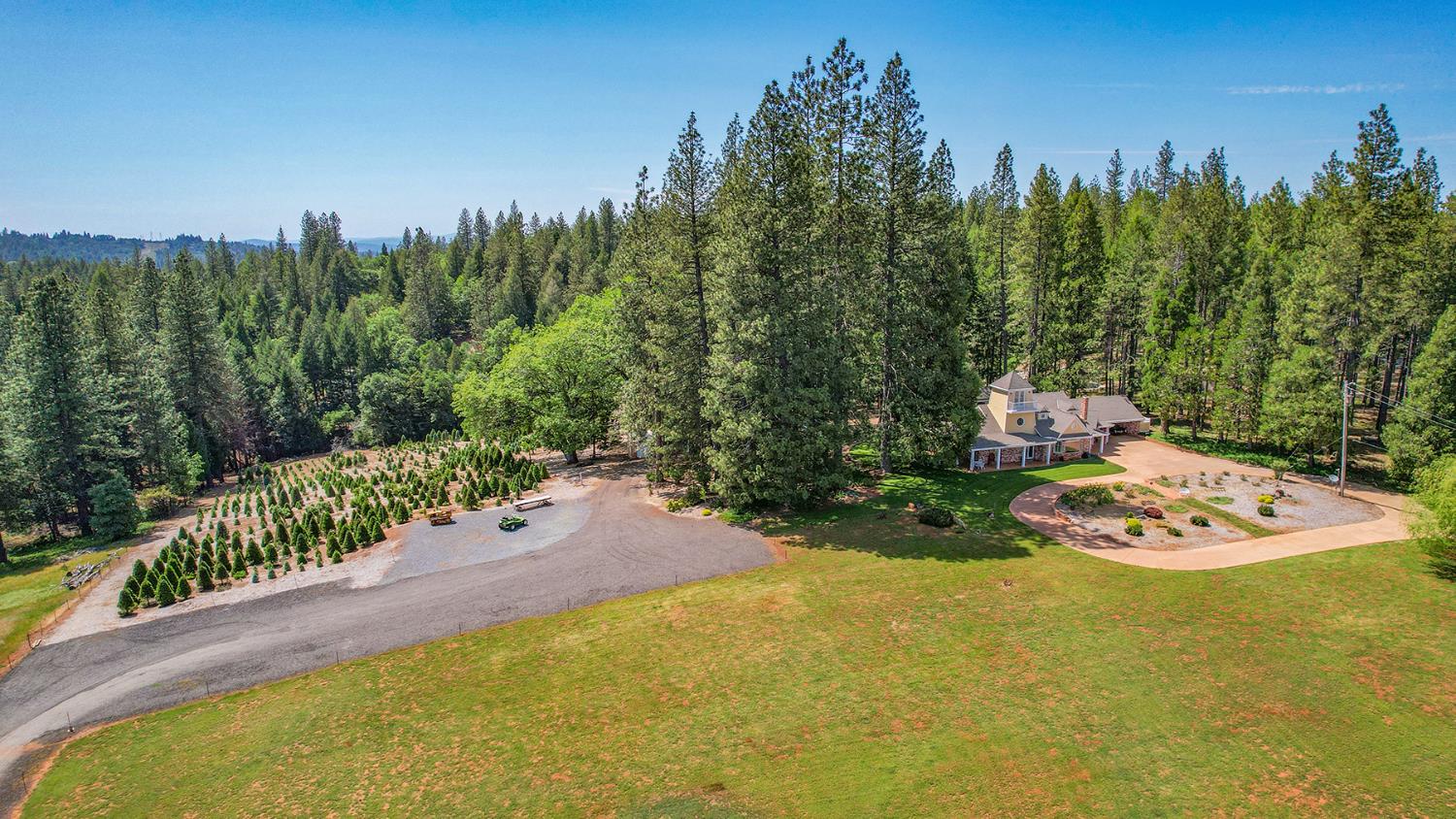 2640 Sky Ranch Lane Camino, CA 95709 - Photo 10 of 62 a view of a swimming pool with an outdoor seating and trees in the background