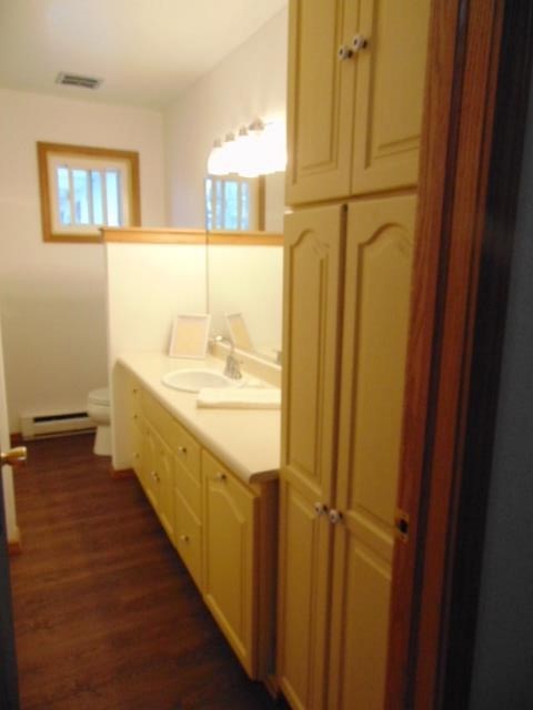 5825 North Pingree Road Elwell, MI 48832 - Photo 43 of 56