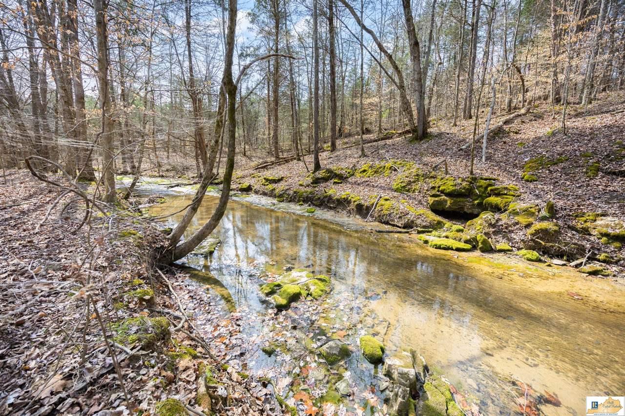 945 Ted Logsdon Road Clarkson, KY 42726 - Photo 43 of 95 Gallery Image 43
