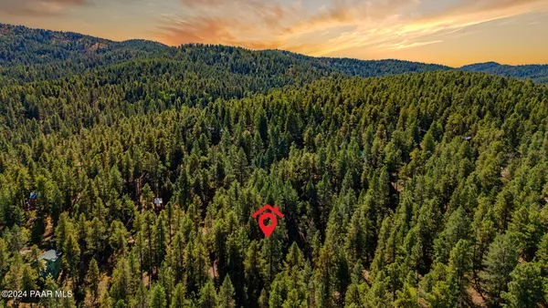 a view of a houses with a lush green forest