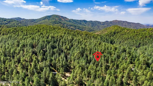 a aerial view of a houses with a lush green hillside