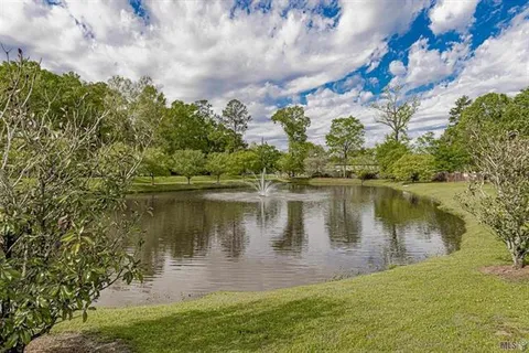 $295,000 | 17201 Clear Spring Avenue, Greenwell Springs, LA 70739