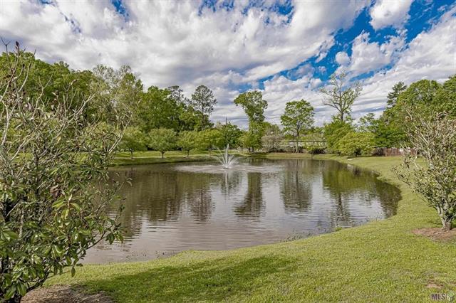17201 Clear Spring Avenue Greenwell Springs, LA 70739 - Photo 16 of 17