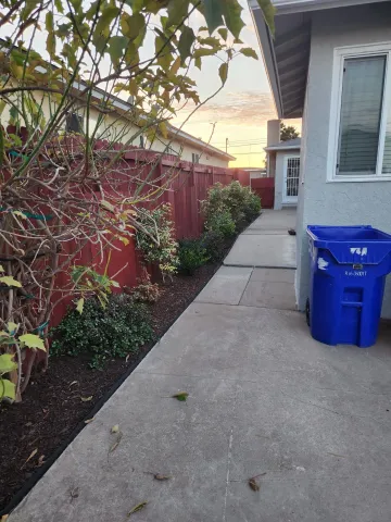 a couple of potted plants sitting in front of a building