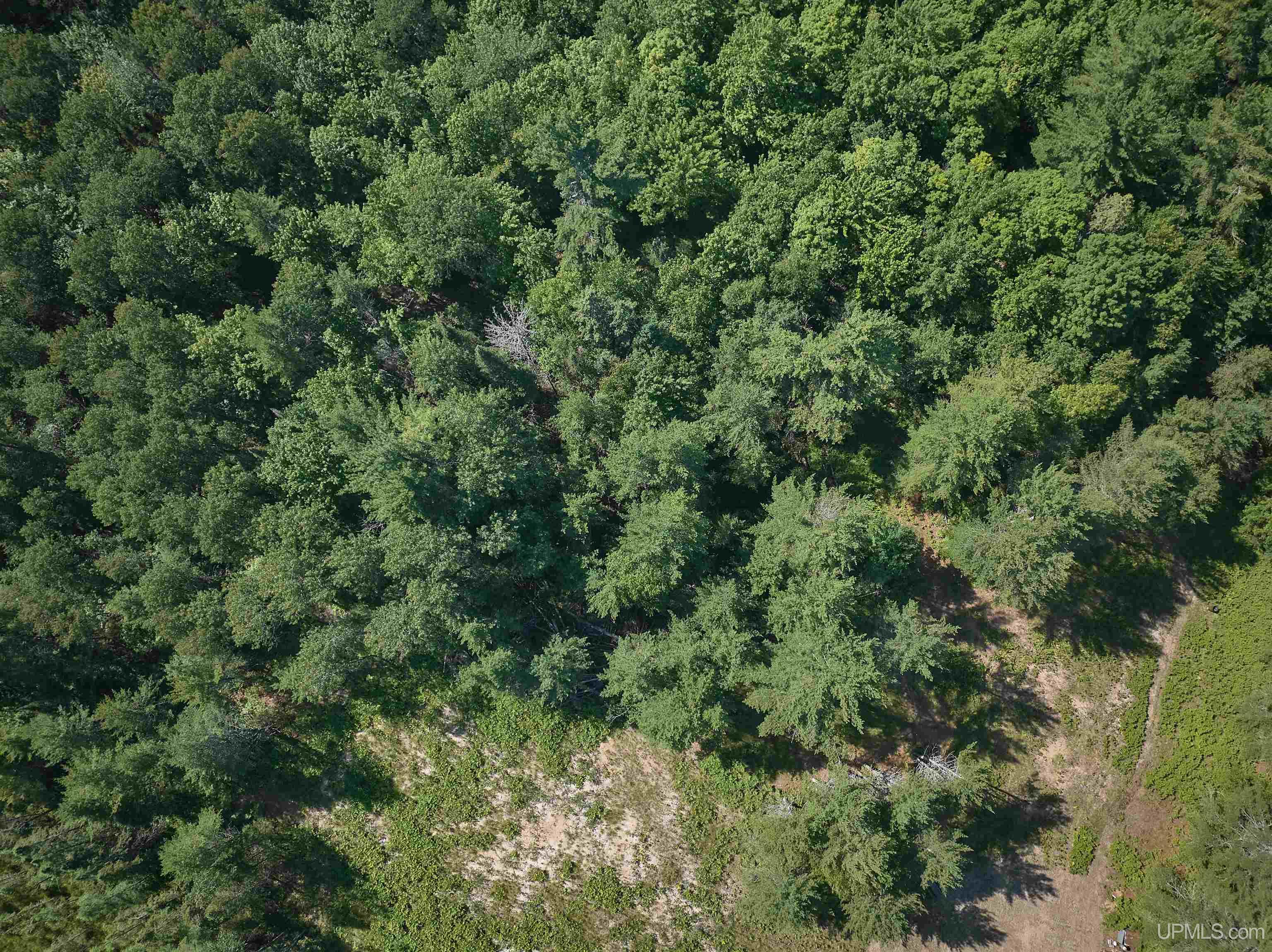 7806 Doe Lake Road Munising, MI 49862 - Photo 13 of 26