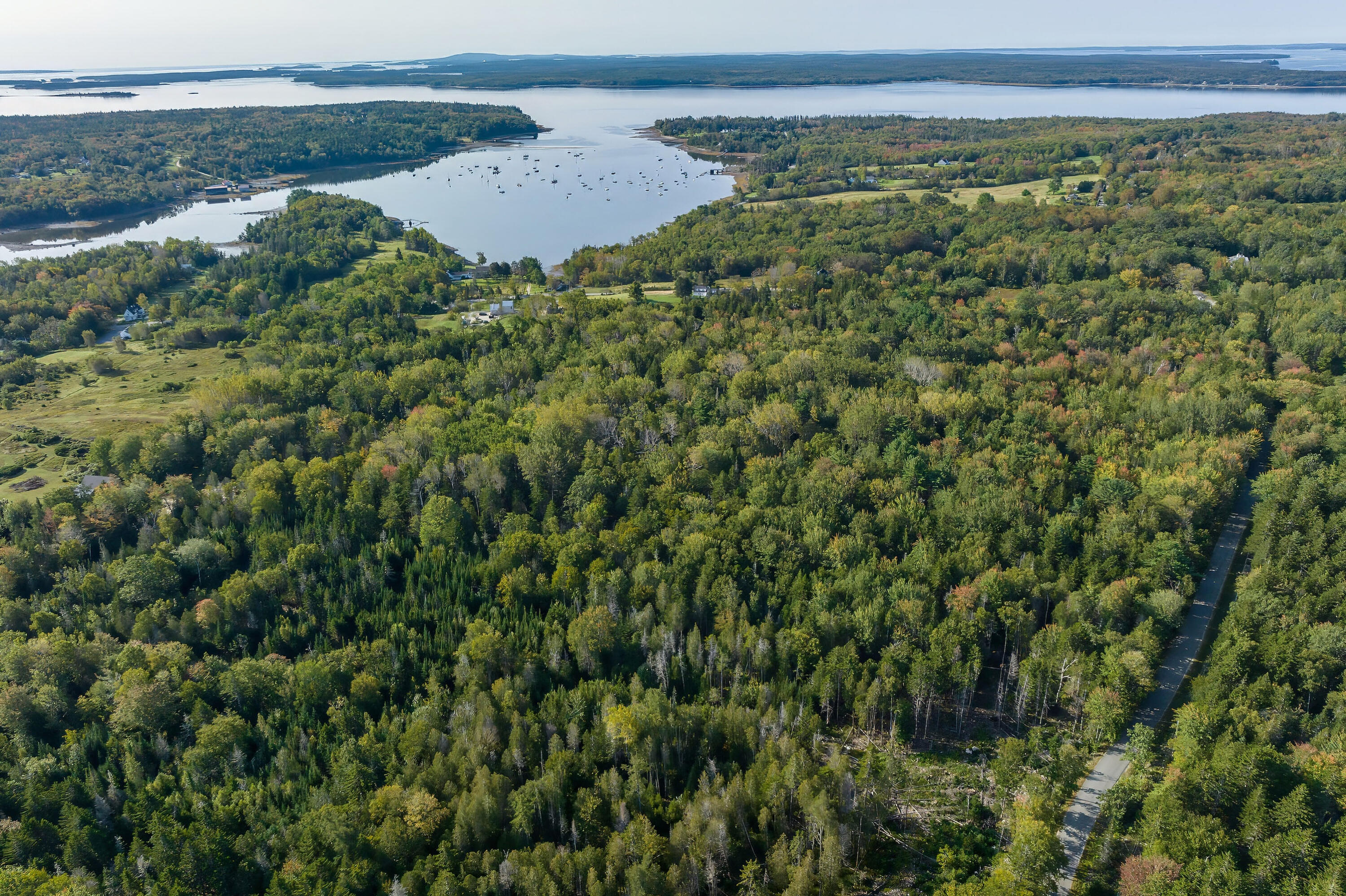 0 Cross Road Sedgwick, ME 04676 - Photo 5 of 24