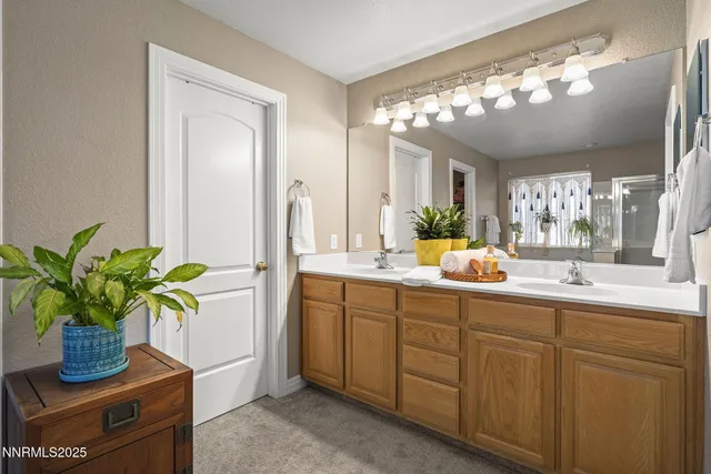 a bathroom with a potted plant on the counter and a sink