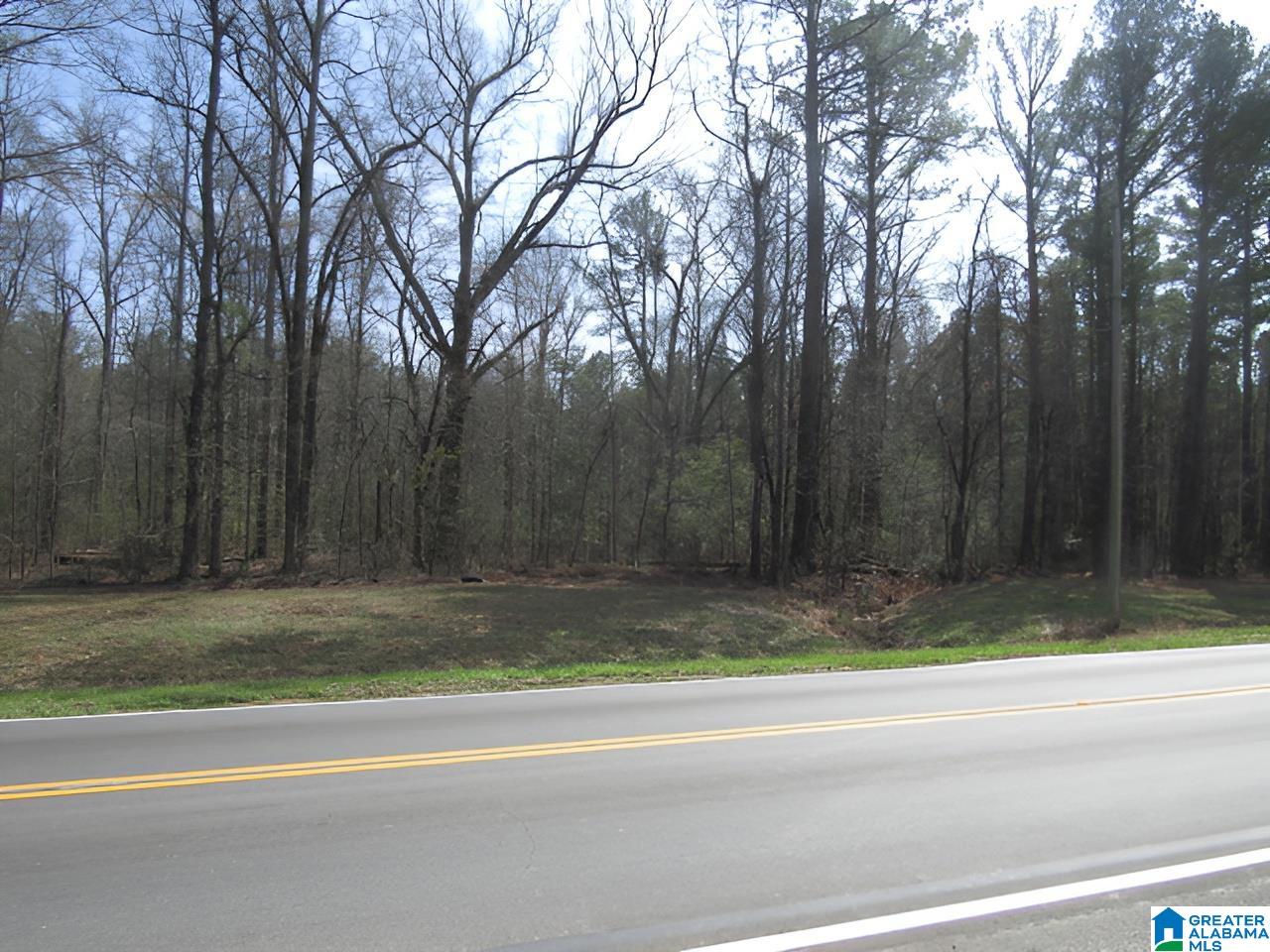 4429 Roy Webb Road Jacksonville, AL 36265 - Photo 2 of 26