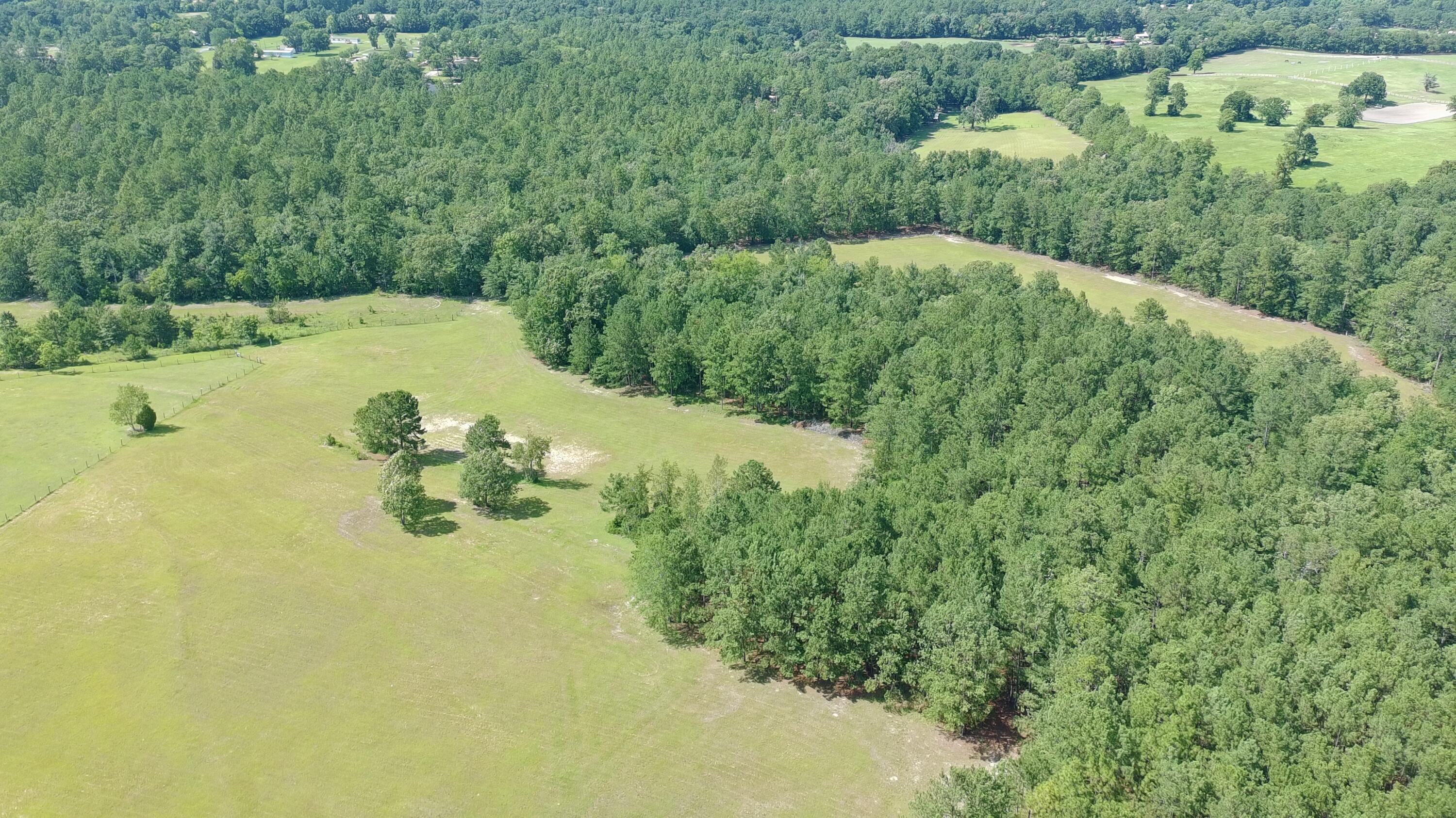 41-acres Whiskey Road Aiken, SC 29803 - Photo 27 of 44