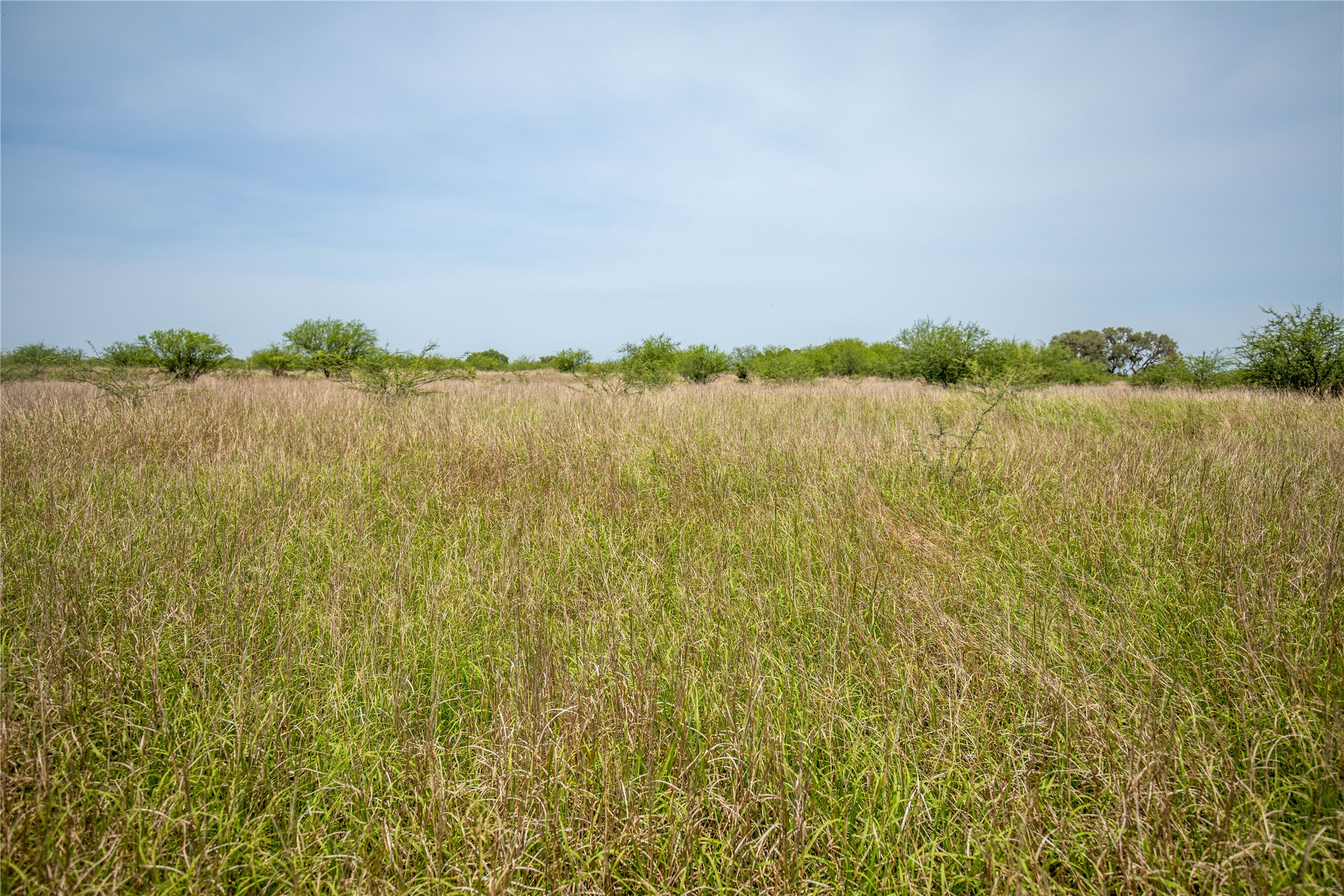 0 Green Dewitt Road Cuero, TX 77954 - Photo 12 of 40