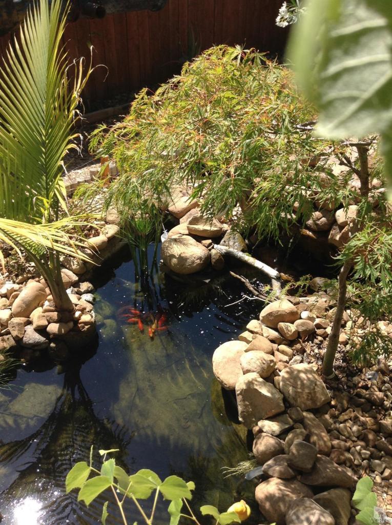 1225 South Rice Road Ojai, CA 93023 - Photo 8 of 9 Gallery Image 8