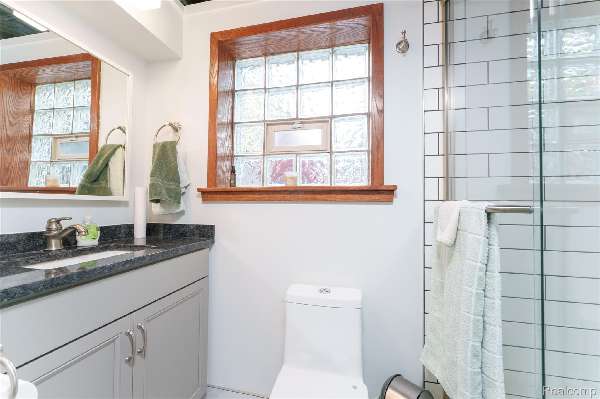 11860 Riverside Drive Plymouth, MI 48170 - Photo 14 of 25 Lower Bathroom