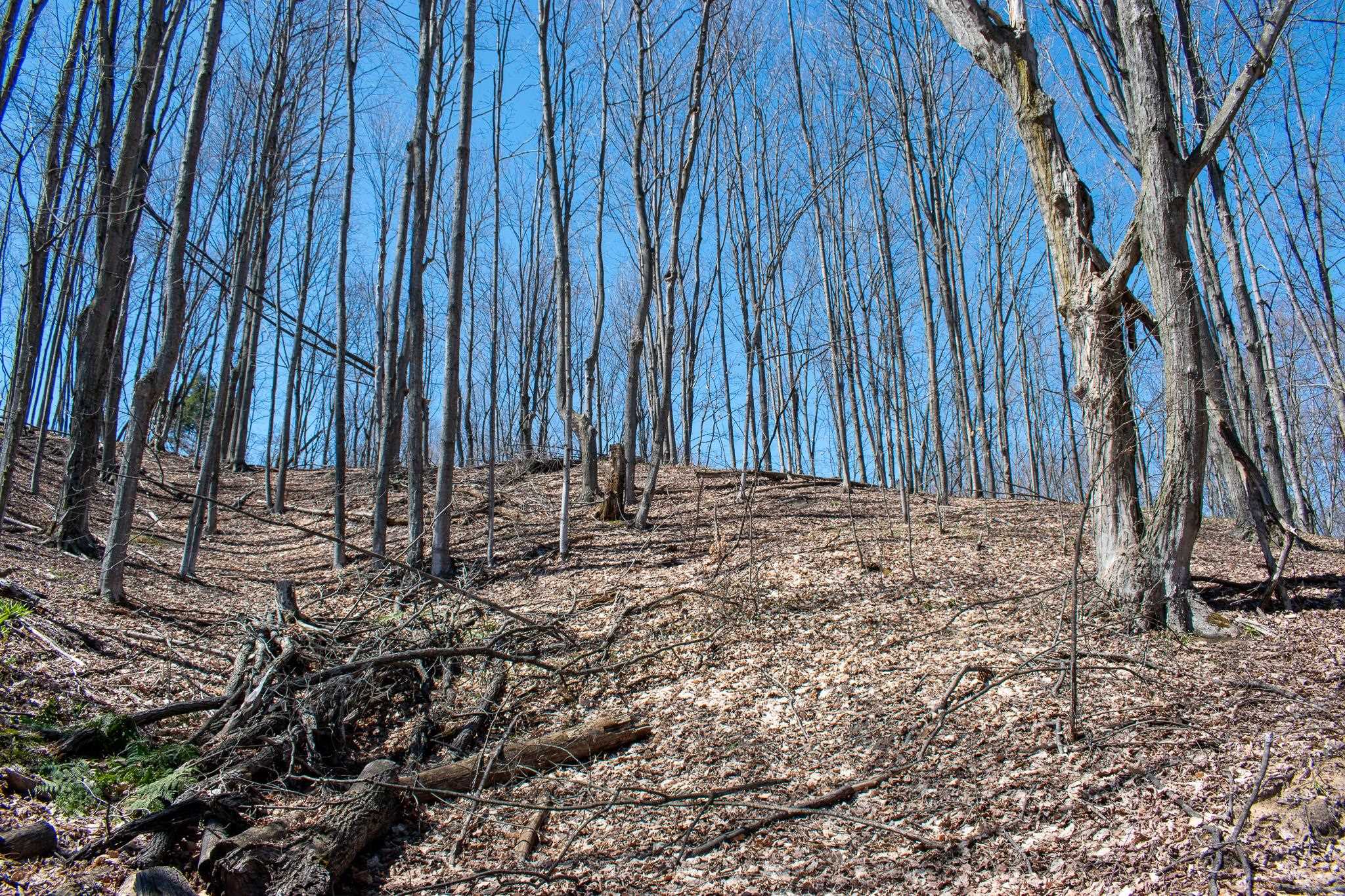 0 East Smiseth Road Suttons Bay, MI 49682 - Photo 31 of 67