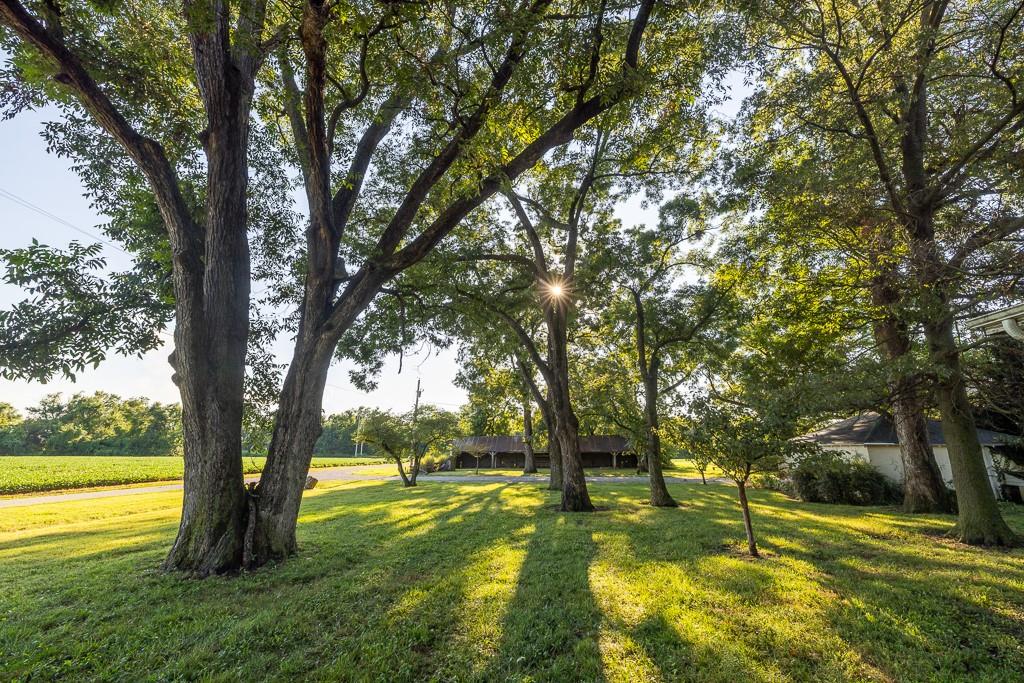 3497 Southwest County Road 1067 Butler, MO 64730 - Photo 27 of 93