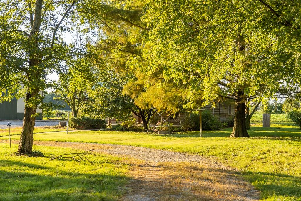 3497 Southwest County Road 1067 Butler, MO 64730 - Photo 89 of 93