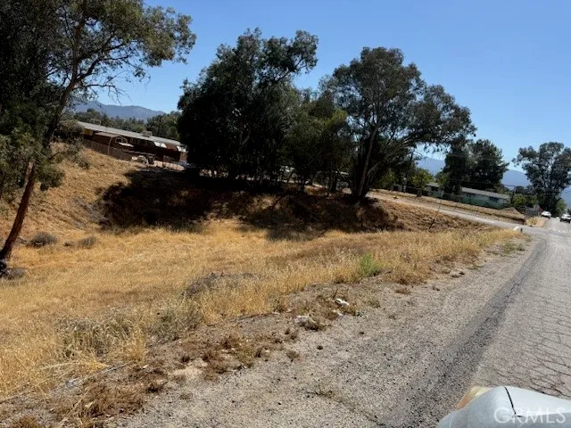 a view of outdoor space yard and trees