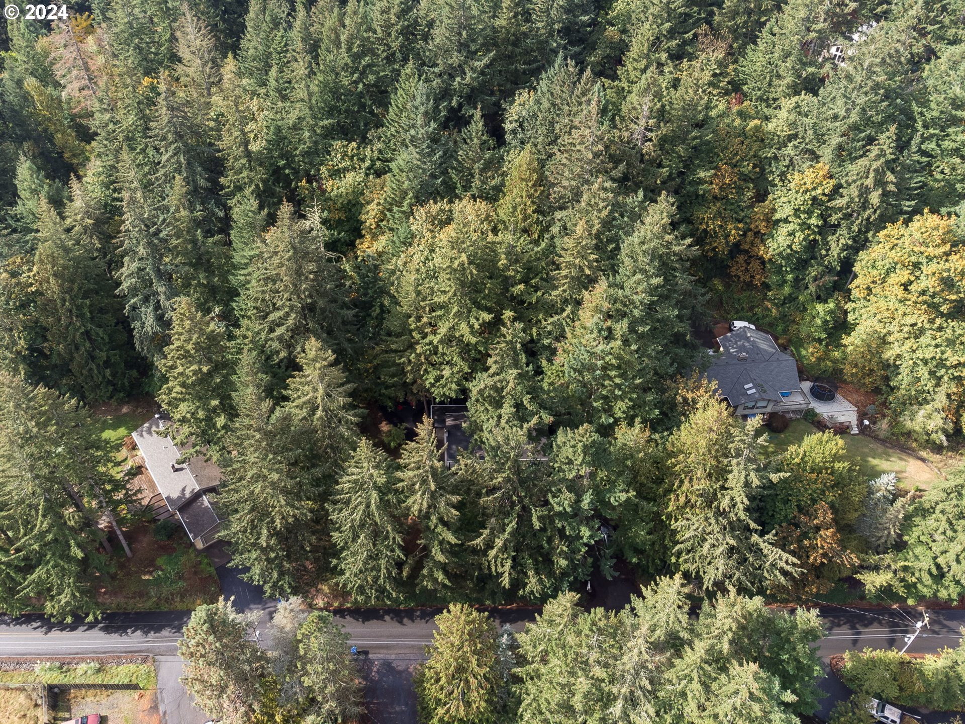 13977 Southeast Wiese Road Damascus, OR 97089 - Photo 47 of 47