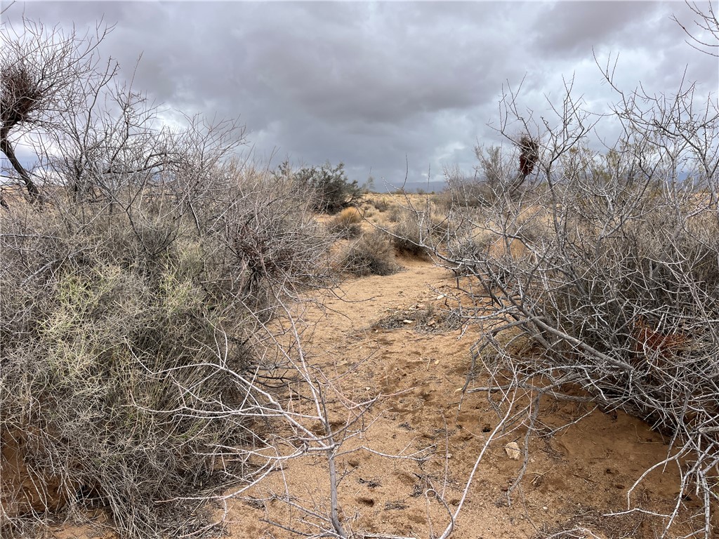 113 Truman Road Golden Valley, AZ 86413 - Photo 13 of 30 a view of a field of the snow