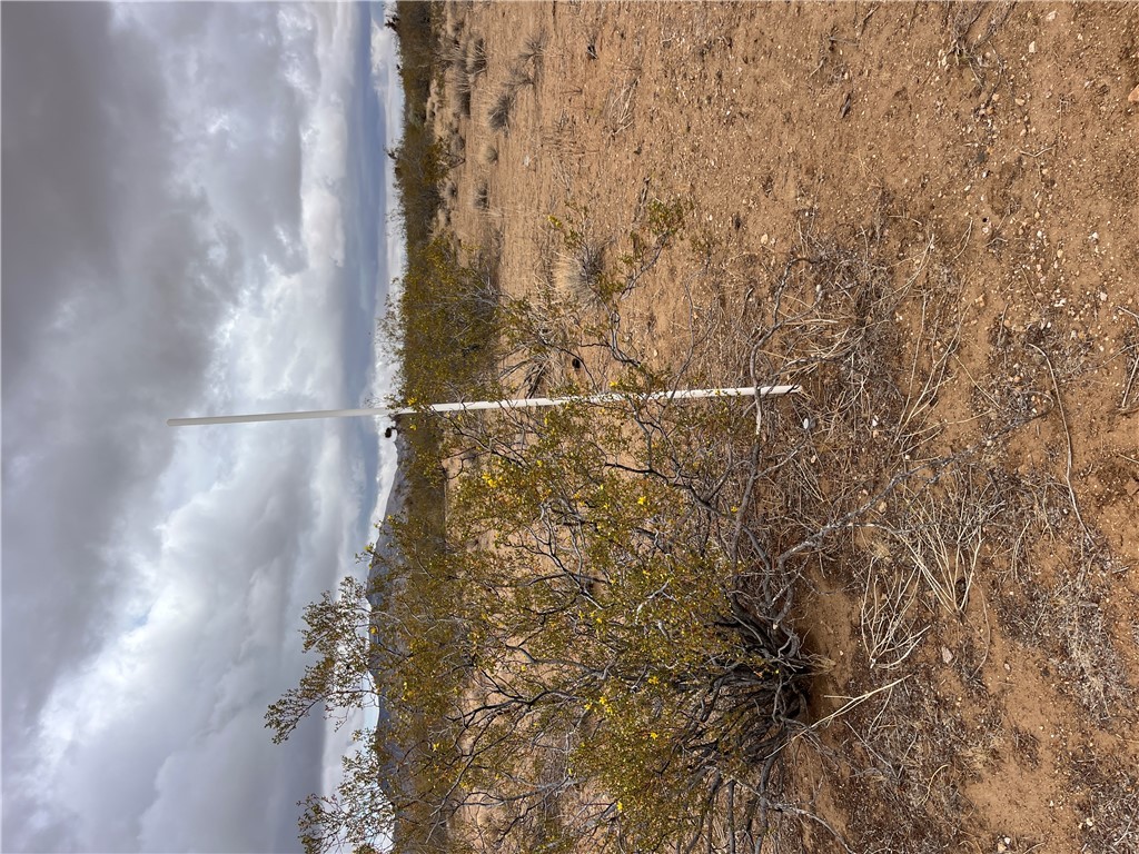 113 Truman Road Golden Valley, AZ 86413 - Photo 16 of 30 a view of a city