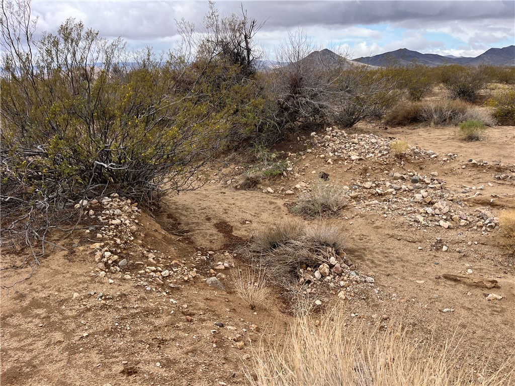 113 Truman Road Golden Valley, AZ 86413 - Photo 18 of 30 a view of a dry yard with mountains in the background