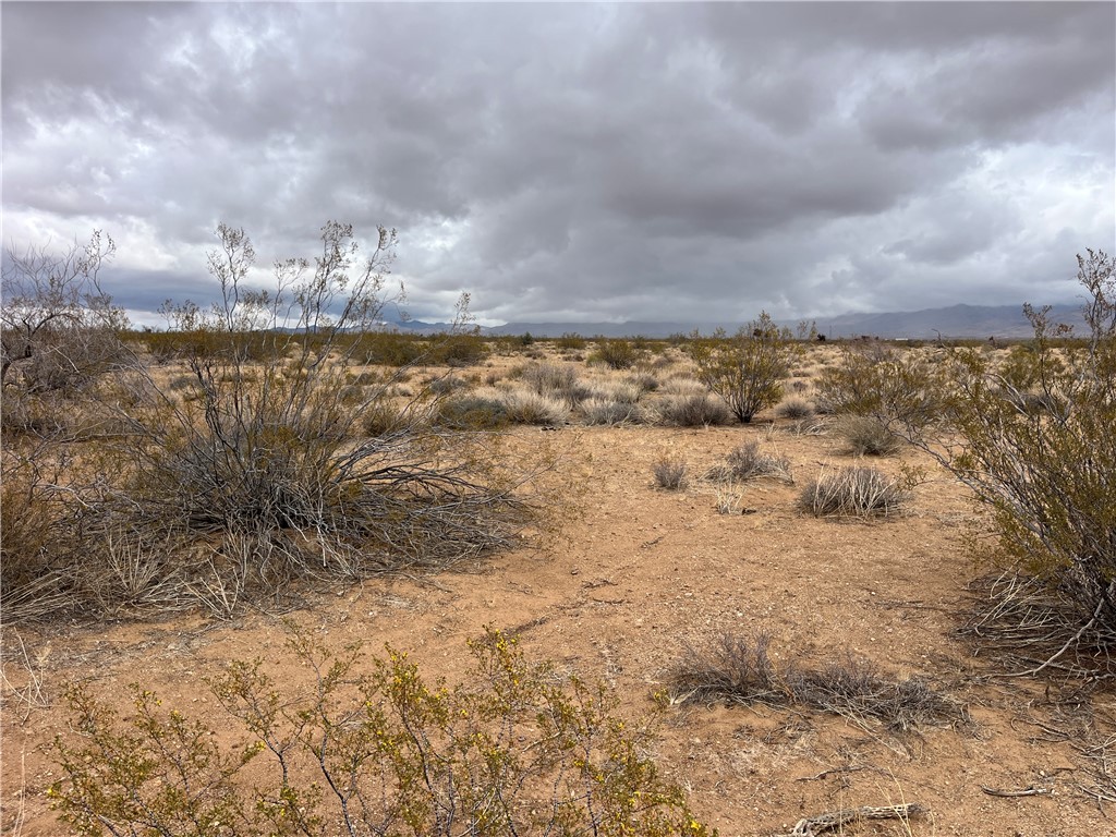 113 Truman Road Golden Valley, AZ 86413 - Photo 25 of 30