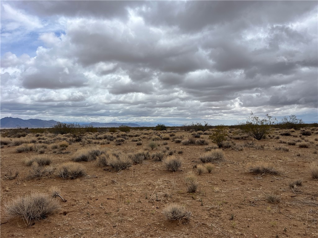 113 Truman Road Golden Valley, AZ 86413 - Photo 26 of 30 a view of a dry yard with lots of trees