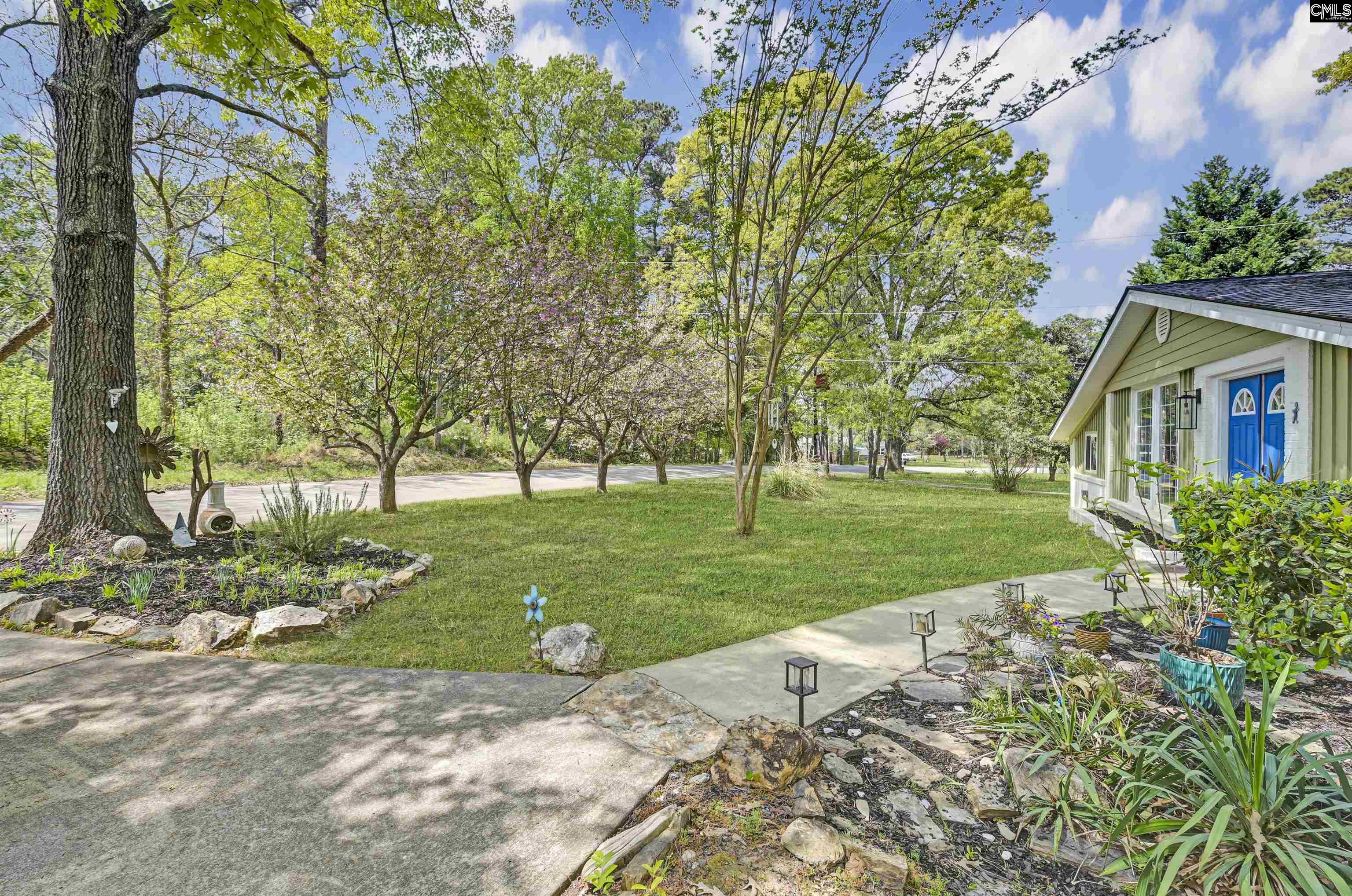 2305 Johnson Marina Road Chapin, SC 29036 - Photo 37 of 38