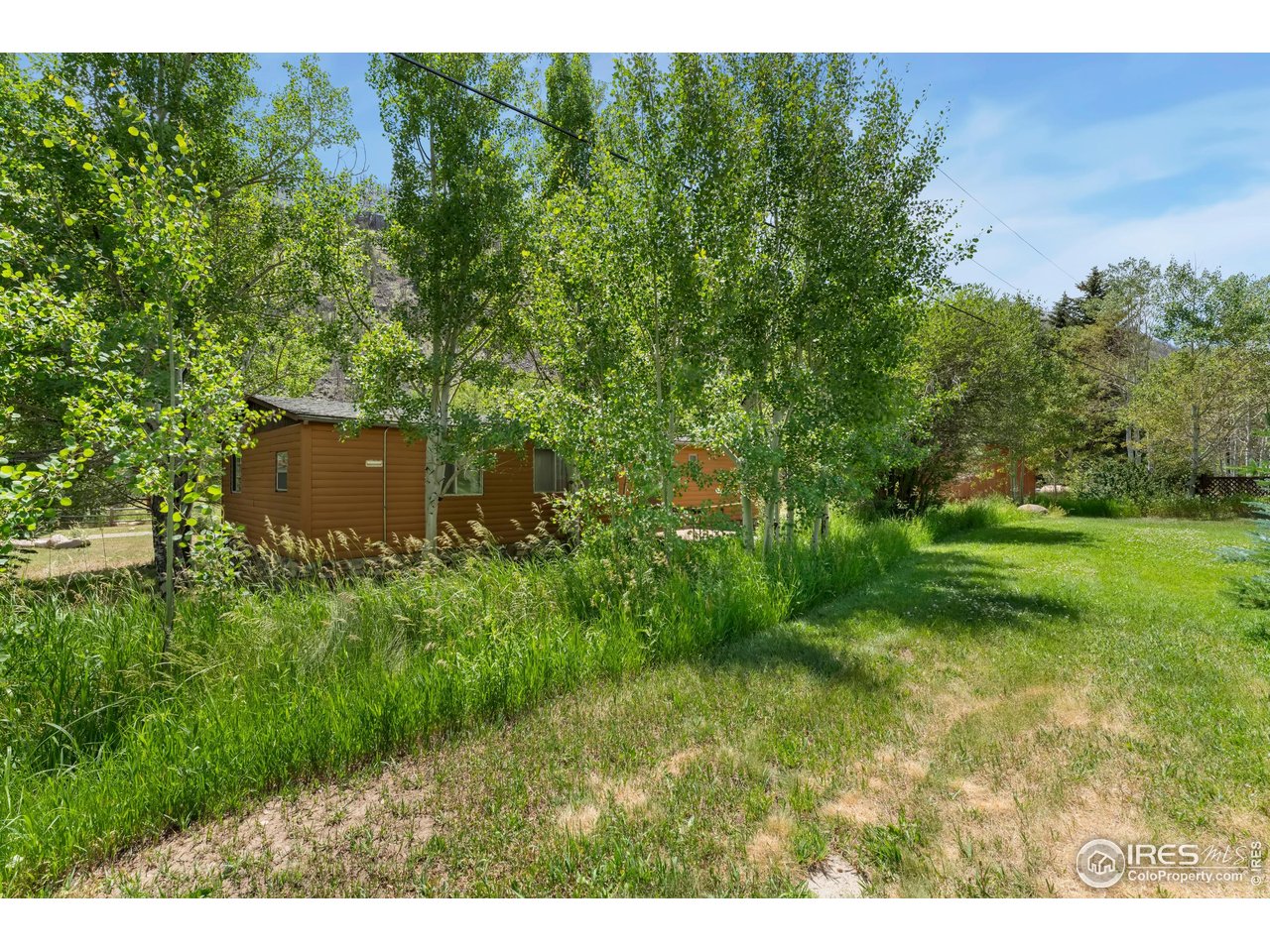 277 Riverside Drive Bellvue, CO 80512 - Photo 14 of 23 a view of a garden