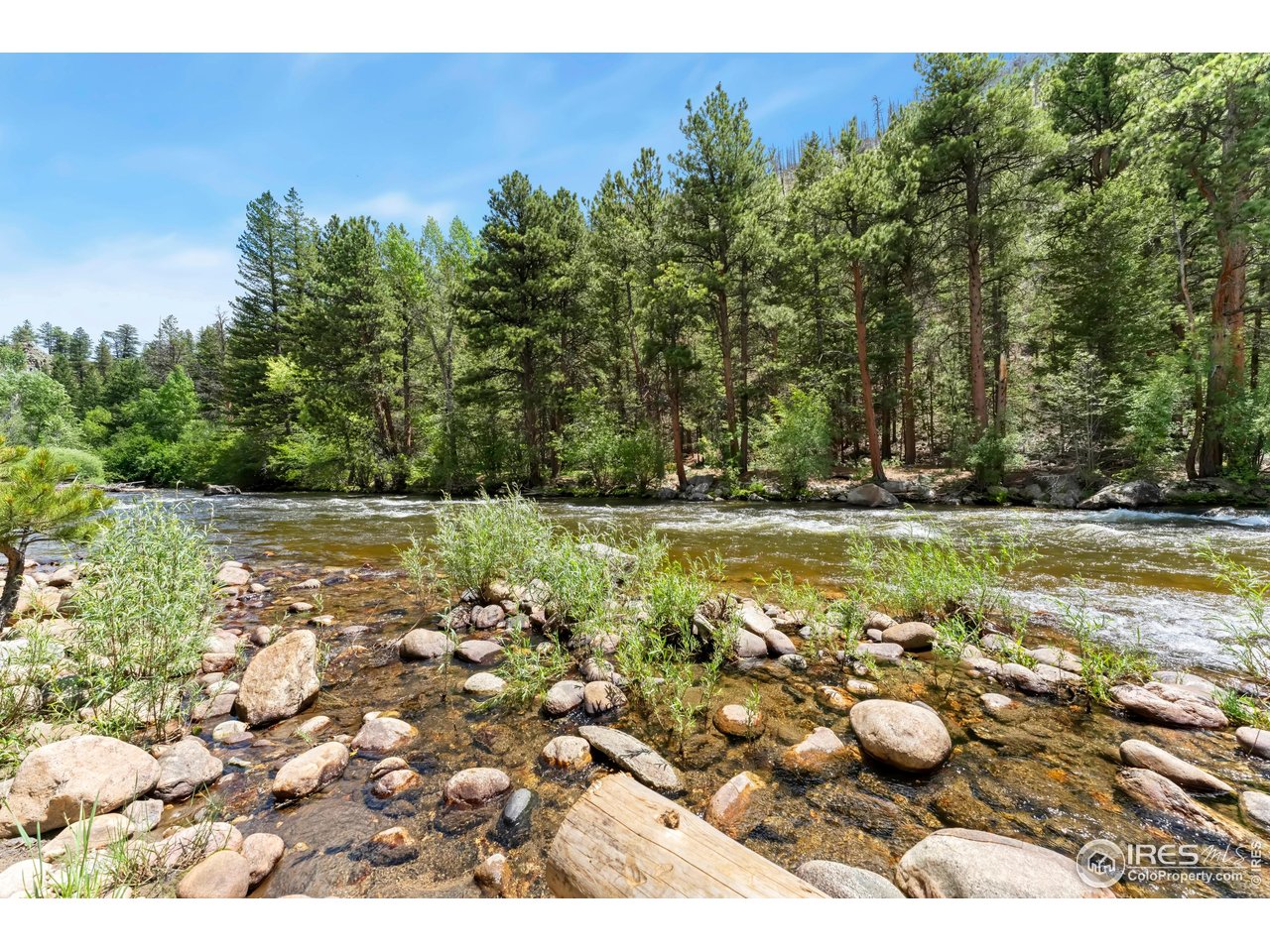 277 Riverside Drive Bellvue, CO 80512 - Photo 15 of 23 a view of a swimming pool and a yard