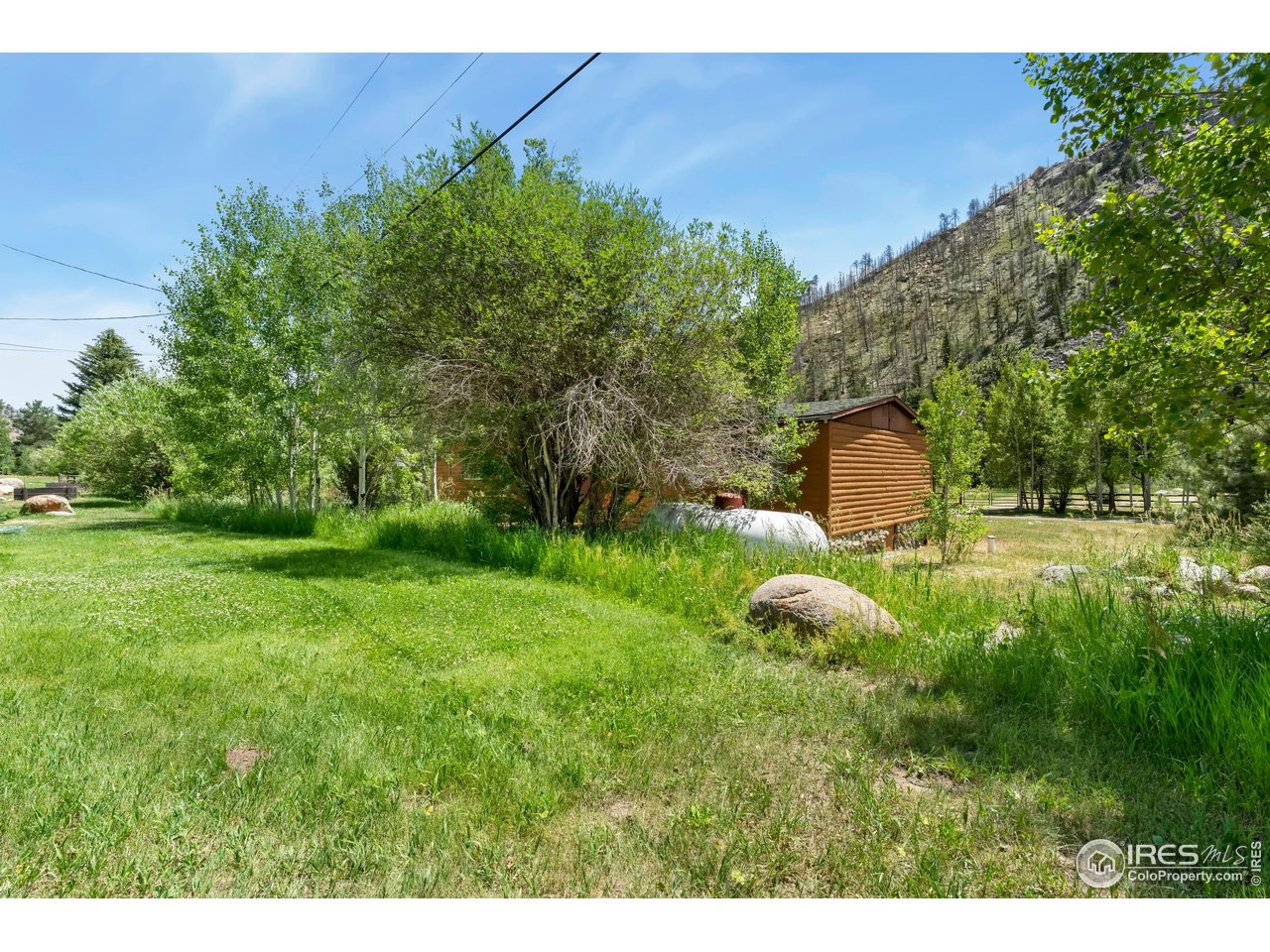 277 Riverside Drive Bellvue, CO 80512 - Photo 16 of 23 a backyard of a house with lots of green space