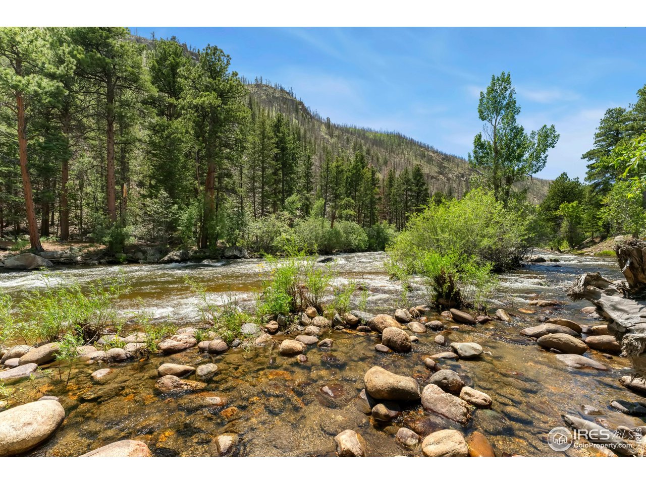 277 Riverside Drive Bellvue, CO 80512 - Photo 17 of 23 a view of swimming pool with a yard