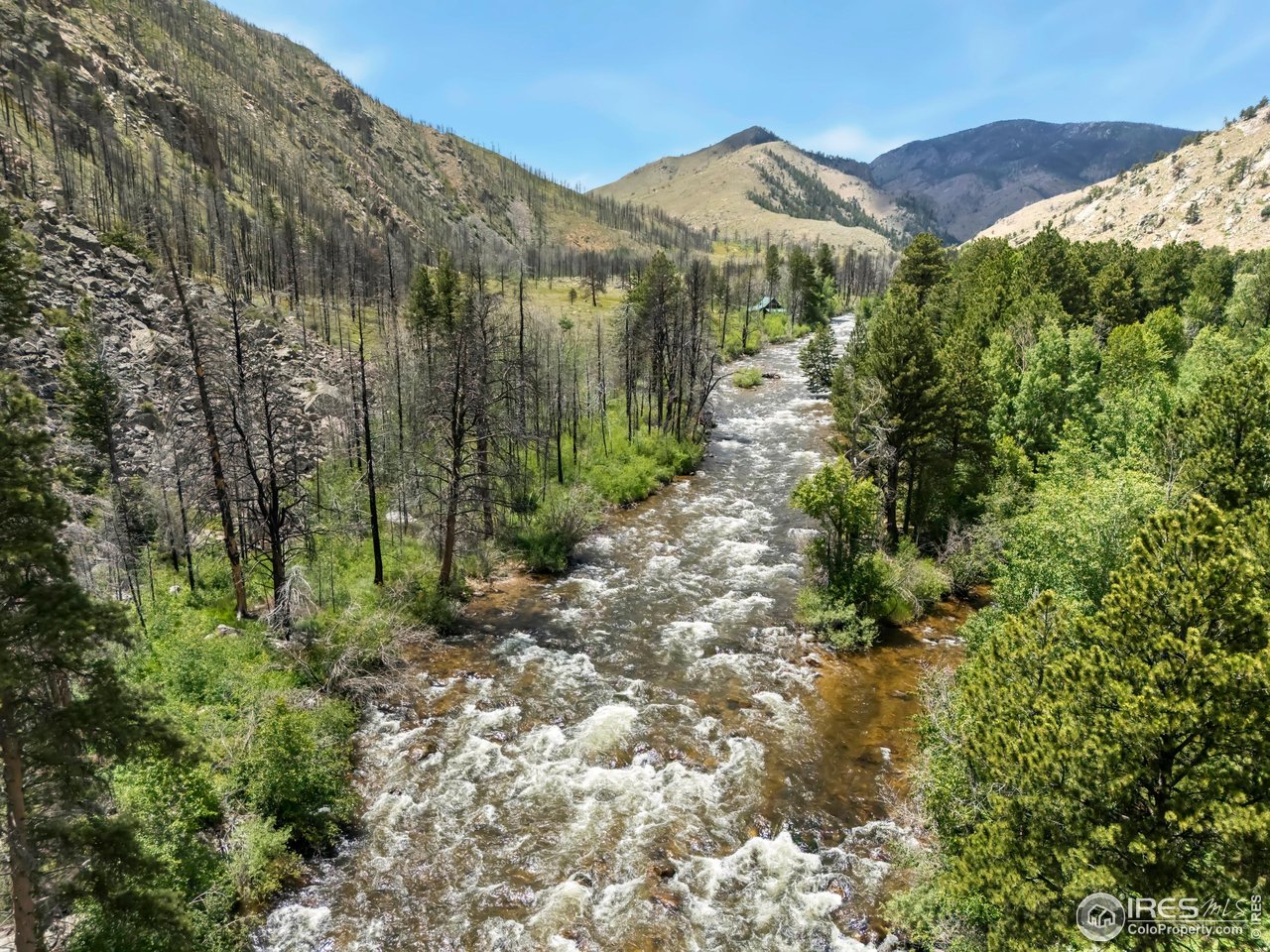 277 Riverside Drive Bellvue, CO 80512 - Photo 22 of 23 a view of a house with a mountain and a forest