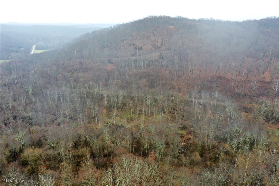 Hoot Owl Ridge Road Caldwell, OH 43724 - Photo 33 of 40 View of mountain feature
