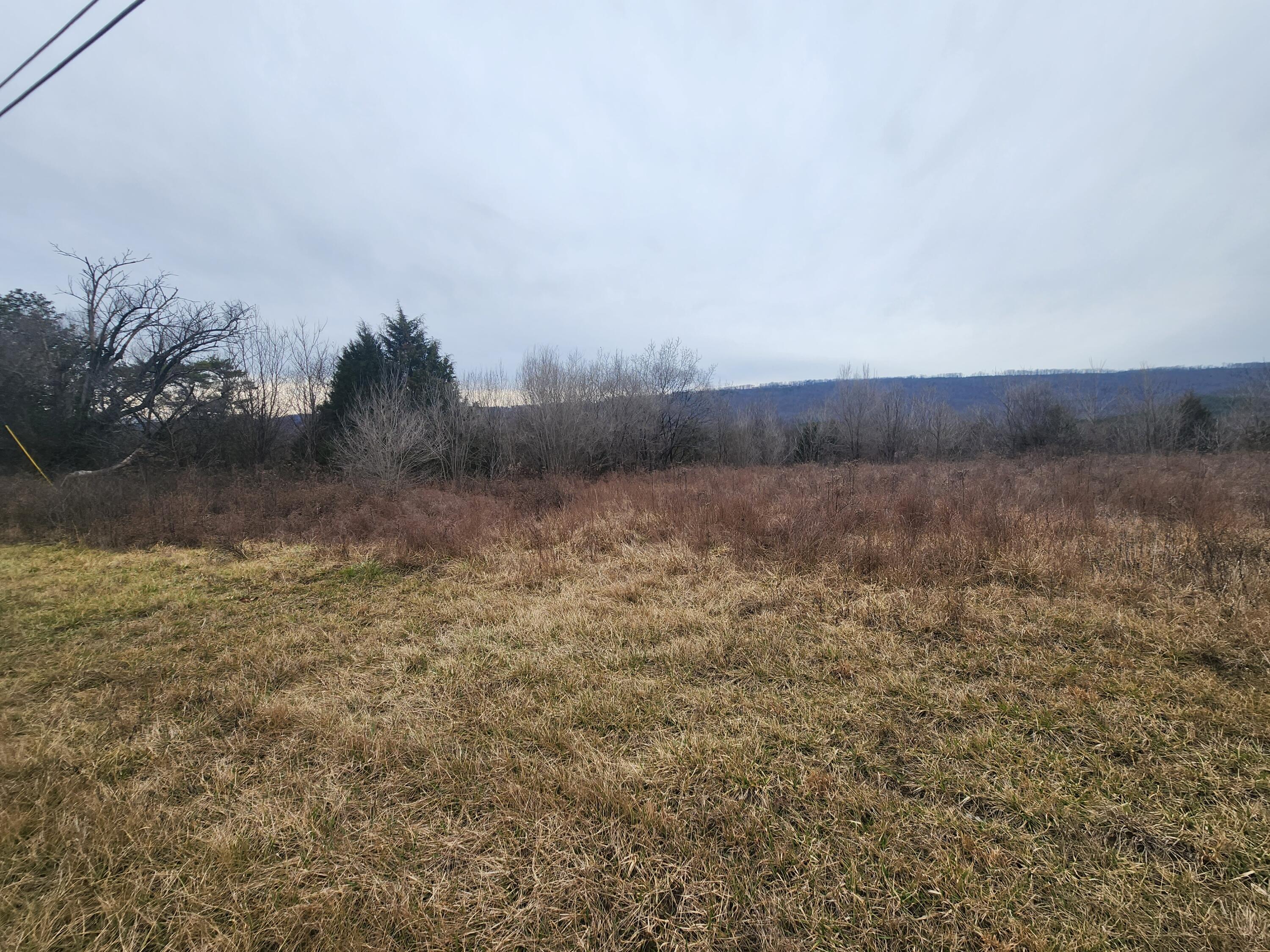 1 A Rhea County Highway Spring City, TN 37381 - Photo 5 of 10 Henry 2
