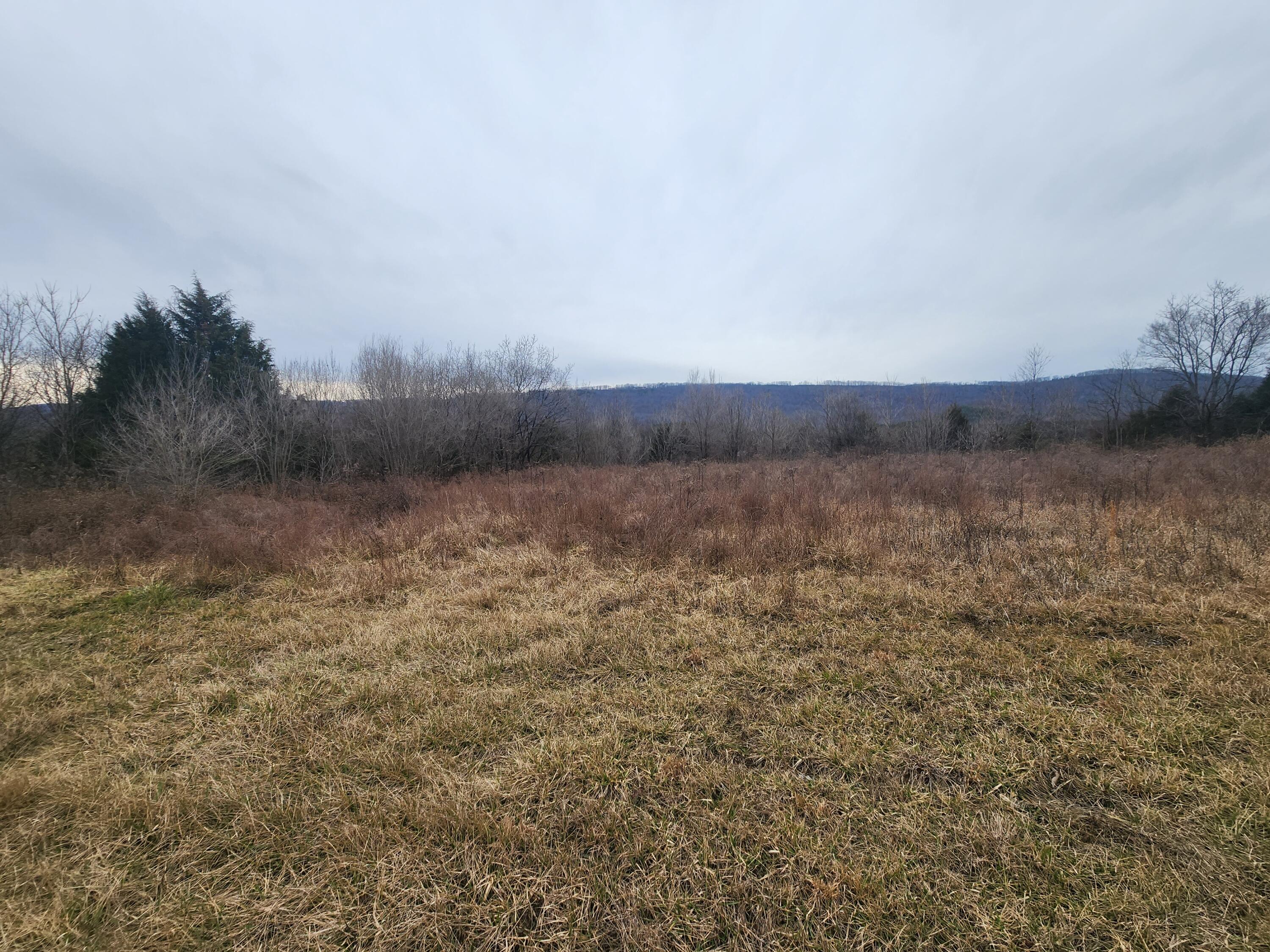 1 A Rhea County Highway Spring City, TN 37381 - Photo 8 of 10 Henry 8
