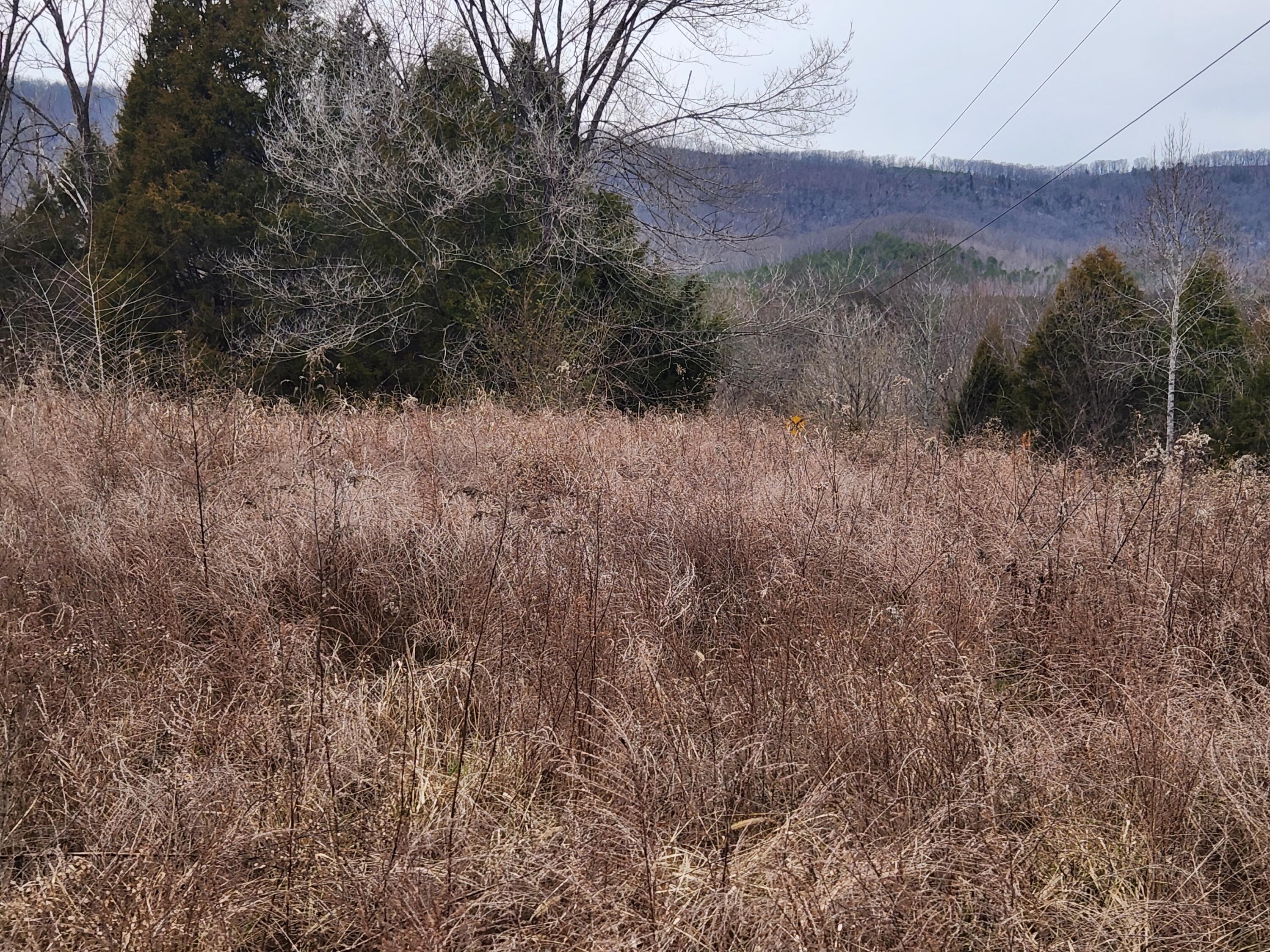 1 A Rhea County Highway Spring City, TN 37381 - Photo 10 of 10 Henry 10